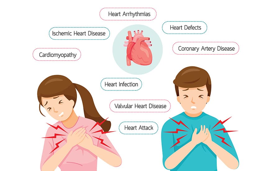 Debunking Common Myths about Heart Disease: Separating Fact from Fiction